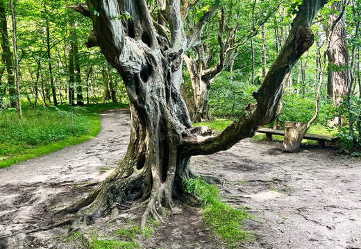 24-07-01 11-40-32 0060